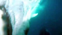 Un bébé baleine saute hors de l'eau et frôle un plongeur