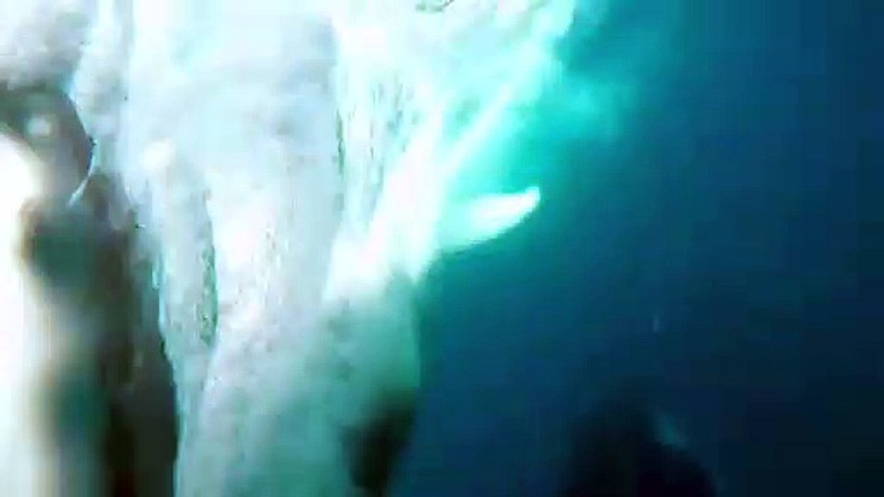 Un bébé baleine saute hors de l'eau et frôle un plongeur