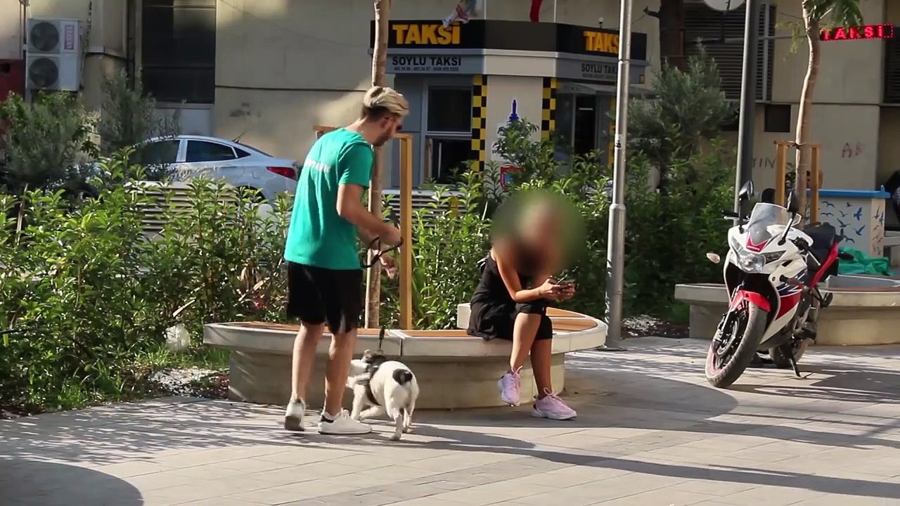 KÖPEKLE KIZ TAVLAMA !!   TÜRKİYE'DE İLK !!