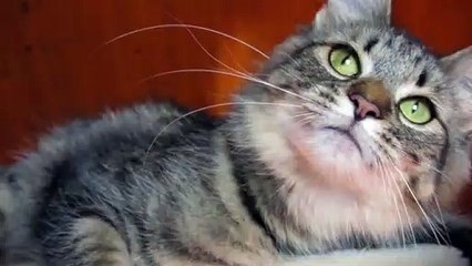 성주출장안마 -후불100%ョØ7ØE7575E0069｛카톡RD654｝ 성주전지역출장안마 성주오피걸 성주출장마사지 성주출장안마 성주출장마사지 성주출장콜걸샵안마 성주출장아로마 ぬづほ