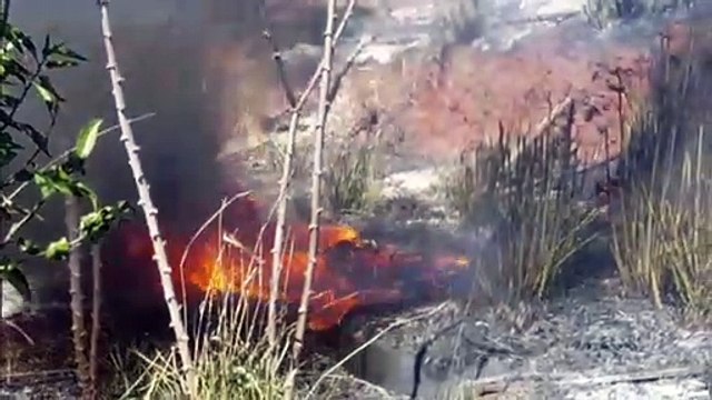 Fogo em entulhos aos fundos de residência mobiliza Bombeiros ao Santo Onofre