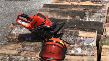 Fête du bois au Frenz