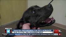 Preparing pet owners and their pets for the next disaster