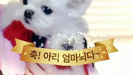 화천출장안마 -후불100%ョOiON6622N4421｛카톡XN94｝ 화천전지역출장안마 화천오피걸 화천출장마사지 화천출장안마 화천출장마사지 화천출장콜걸샵안마∩◬き