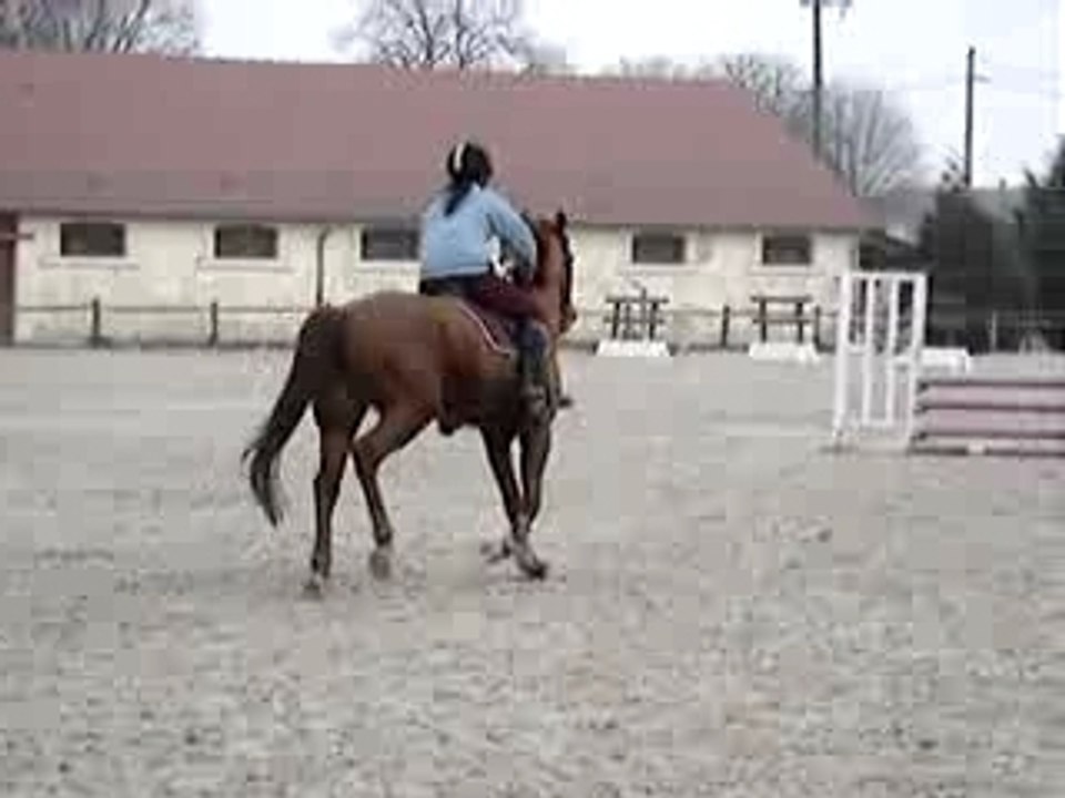 MOV09012