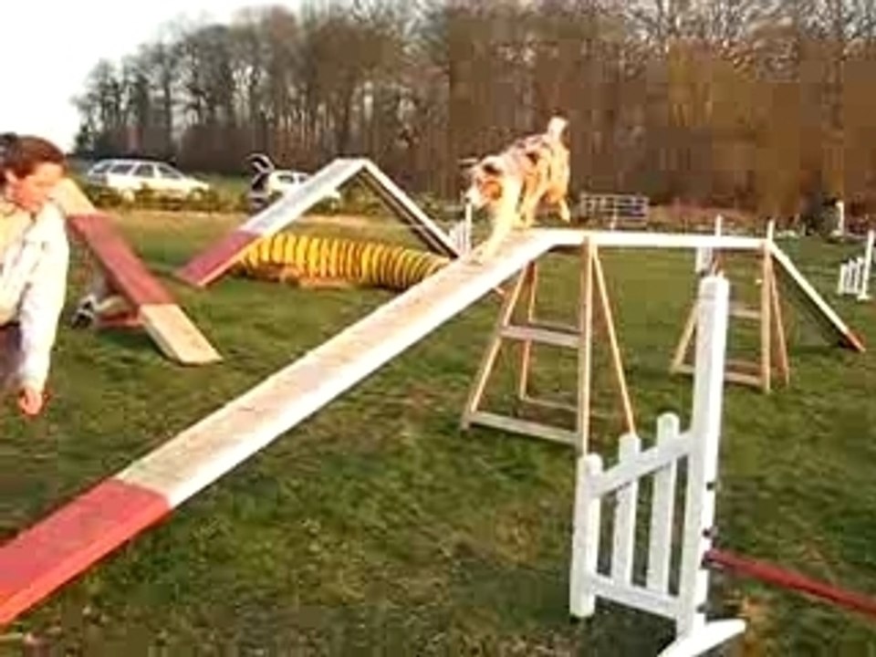 MVI_9678
