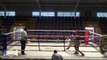 Charlie Hernandez VS David Hernandez - Boxeo Amateur - Miercoles de Boxeo