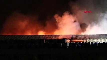 DENİZLİ'DE FABRİKA YANGINI-4