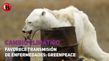 Cambio climático favorece transmisión de enfermedades: Greenpeace