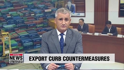 S. Korea to secure supply of 100 strategic core items within 5 years to counter Japan's export curbs
