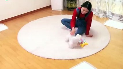 강진출장안마 -후불100%ョOiOW2671W8135｛카톡LA369｝ 강진전지역출장안마 강진오피걸 강진출장마사지 강진출장안마 강진출장마사지 강진출장콜걸샵안마⻘⾼⾨