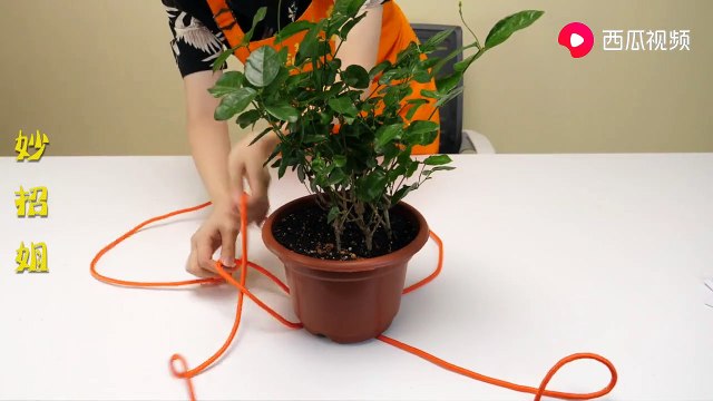 【Rope knotting method】一生受用的8种绳子打结方法，3分钟就能学会，家家户户都用的到