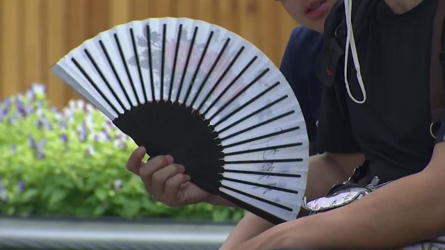 [날씨] 펄펄 끓는 도심...서울 올 최고 37℃ 예상 / YTN