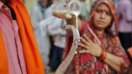 नाग पंचमी क्यों मनाते हैं | Why we celebrate Nag Panchami | Boldsky