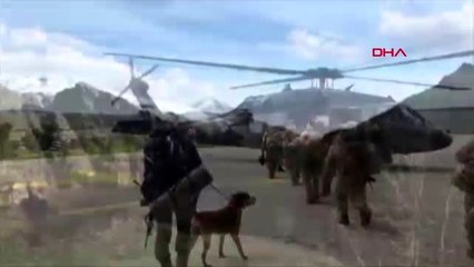 DİYARBAKIR Kocaköy de hint keneviri operasyonu