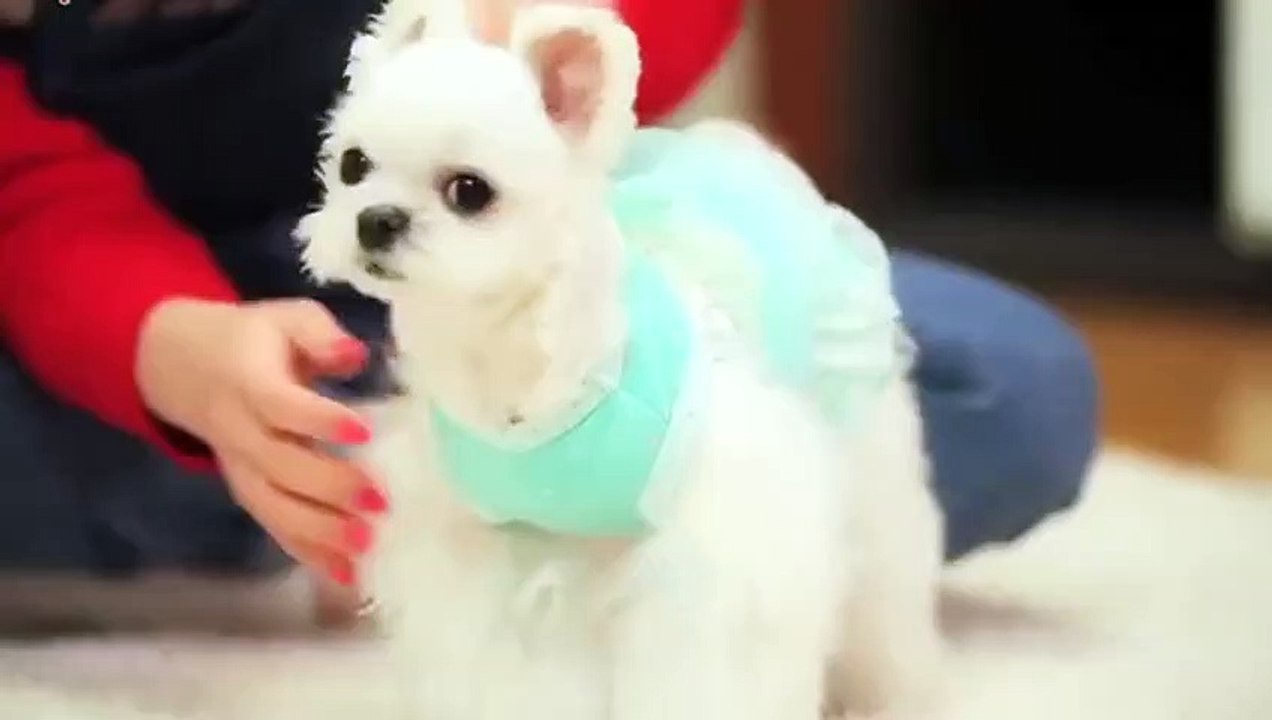 괴산출장안마 -후불100%ョØ7ØM7575M0069｛카톡CC6969｝ 괴산전지역출장안마 괴산오피걸 괴산출장마사지 괴산출장안마 괴산출장마사지 괴산출장콜걸샵안마 괴산출장아로마 ㍇と≎