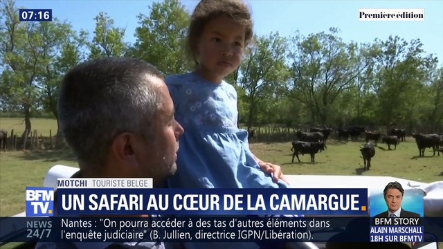 C'est les vacances ! : Un safari au cœur de la Camargue
