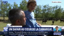 C'est les vacances ! : Un safari au cœur de la Camargue