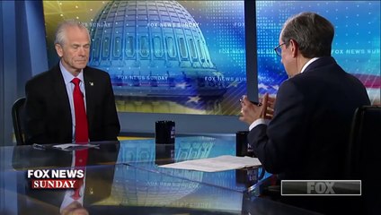 Peter Navarro stands by Trump's tariffs as successful trade tactic