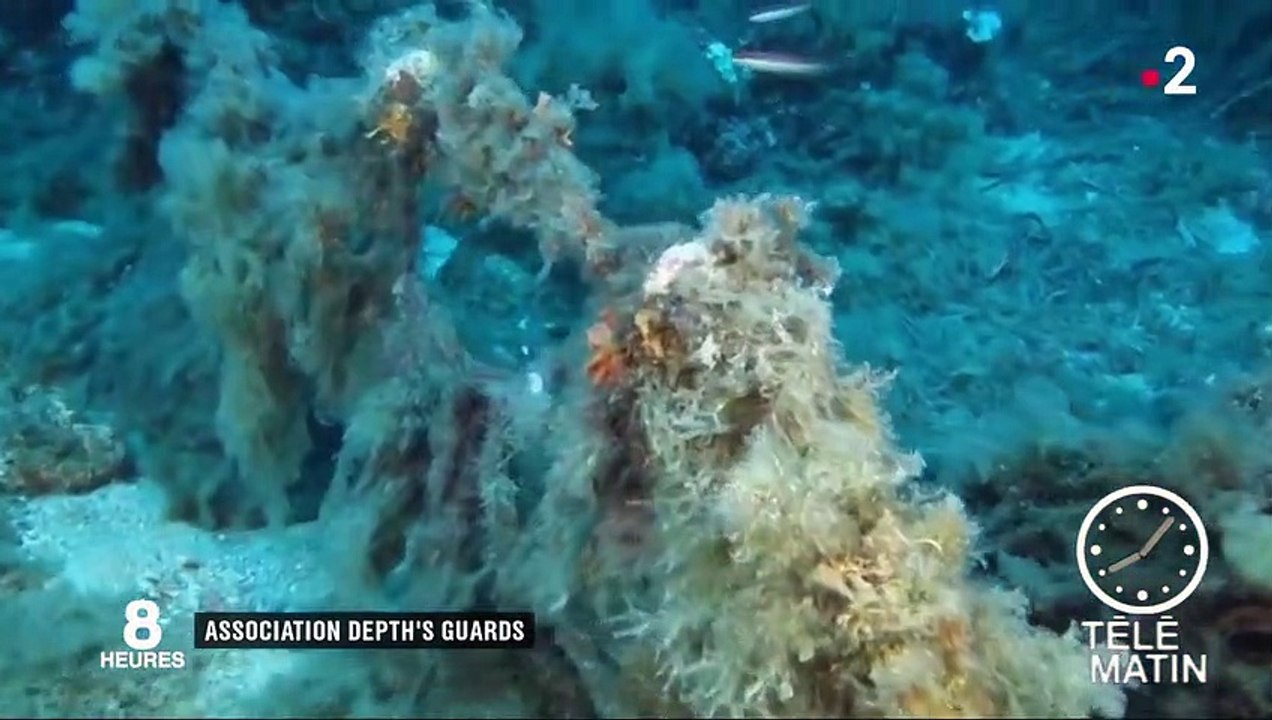 Mer Méditerranée : chasse aux filets de pêches abandonnés