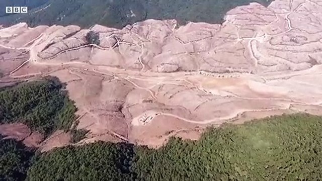 Kaz Dağları drone görüntüsü