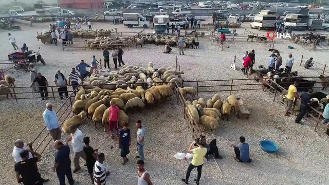 Kurban pazarlarında yoğunluk var, alıcı yok... Kurban pazarı havadan görüntülendi
