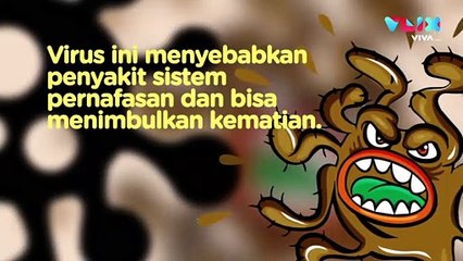 Jemaah Haji, Waspada Virus MERS-CoV!