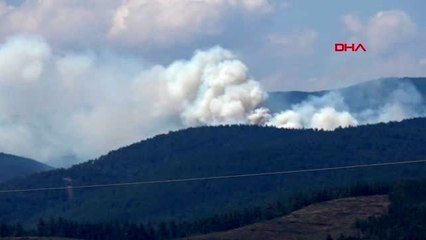 Bursa Orhaneli'nde orman yangını -2