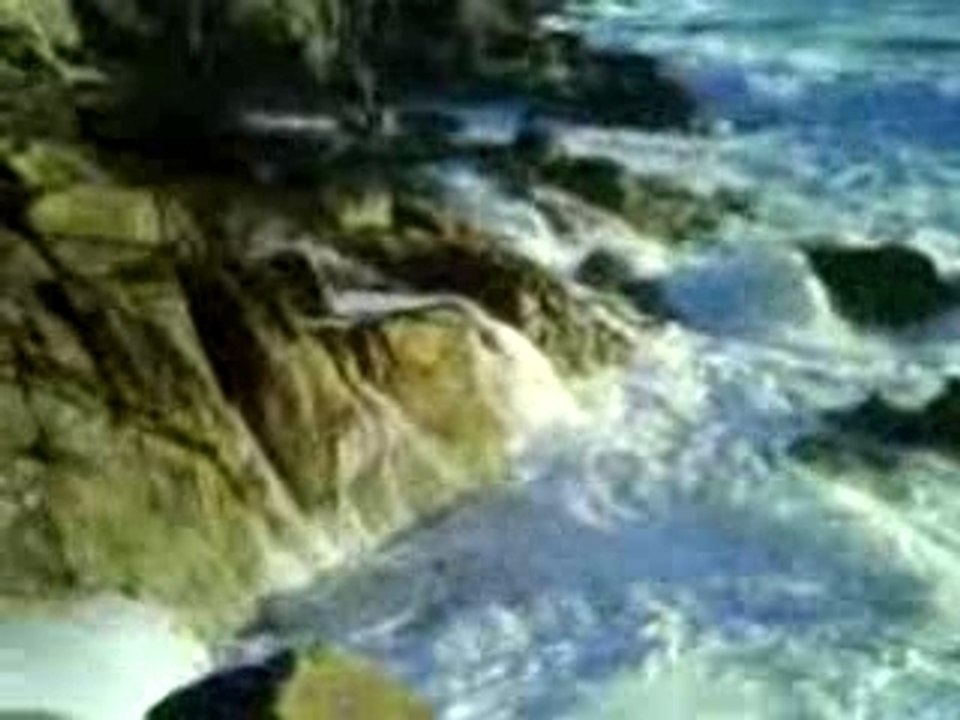 MOV00102
