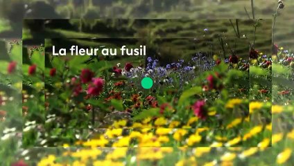 [BA] Échappées belles – Colombie, le nouvel eldorado - 10/08/2019