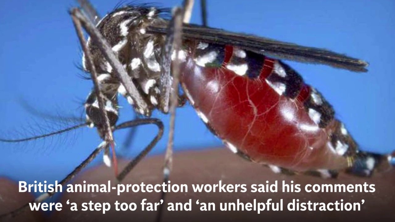 Don’t Kill Mosquitoes - Let Them Take Blood Donation