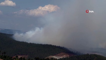 Descargar video: Bursa’da orman yangını 4 helikopter ve çok sayıda arazöz müdahale ediyor