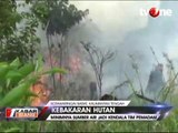 Kebakaran Lahan di Kalteng Meluas hingga 33 Titik Api