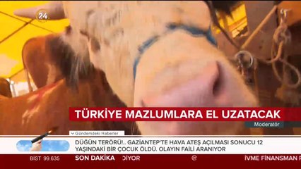 Ülkelerde kurbanlar kesilecek