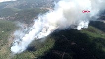 Bursa'da orman yangını YANGIN, RÜZGARIN ETKİSİYLE BÜYÜDÜ-AKTUEL