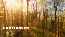 Zo lang moet je in de natuur doorbrengen voor een goede gezondheid
