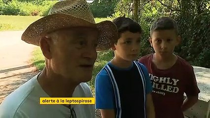Trois cas de leptospirose après des baignades dans une rivière de Haute-Saône