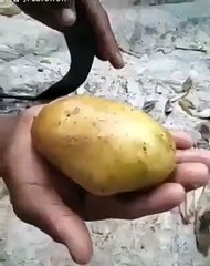 La façon la plus rapide (et dangereuse) de faire des frites !