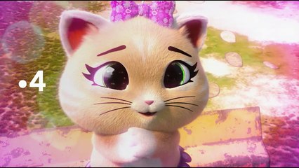 44 chats en exclusivité sur france.tv