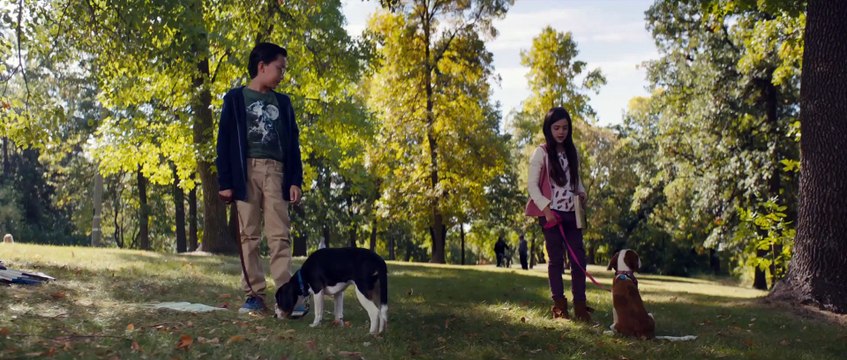 Mes autres vies de chien Bande-annonce VF (Comédie 2019) Dennis Quaid, Kathryn Prescott