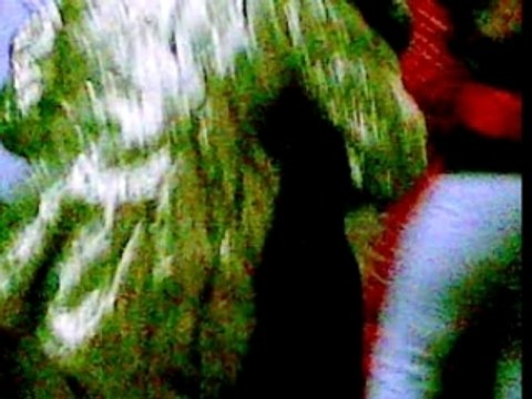 Face à face tololo Blue Star Féroces 3