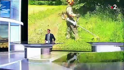 Incendies : débroussailler pour éviter les départs de feu