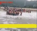 Çin'de karaya vurmuş bir yunusu el birliğiyle turistler kurtardı