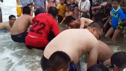 Rescuers and tourists team up to save stranded dolphin on beach in China's Yangjiang