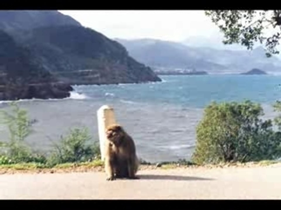 ALGERIE SOUS TOUTE SA BEAUTE PAR ANNABIA_0001