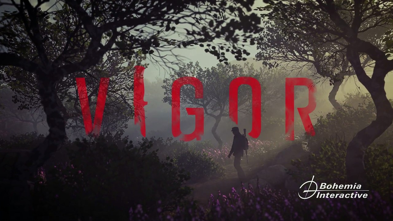 Vigor - Fin de semana gratuito