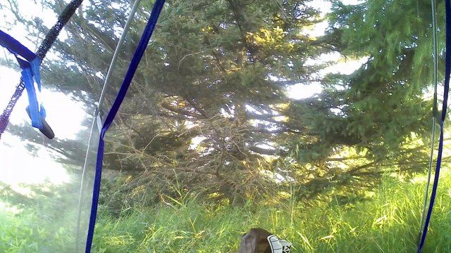 27 Fatima Pilgrimage walk across USA # Getting to The Place where Mother Mary Appeared in the USA