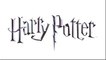 Como fazer decoração do Harry Potter - PARTE 2
