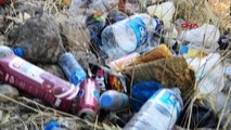 Bodrum'da 4 saatte 2 ton çöp toplandı