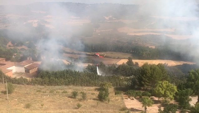 Declarado un incendio forestal en Brihuega (Guadalajara)